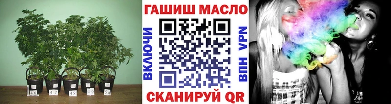 ТГК THC oil  Купить закладки  Жуковка 