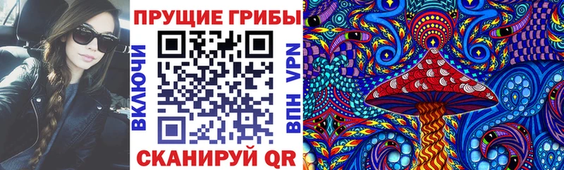 Купить где  Жуковка  Псилоцибиновые грибы Cubensis 
